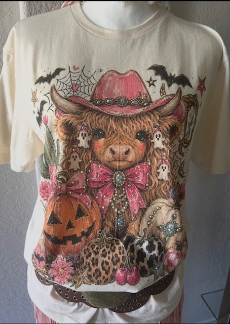 Fall pumpkins with Highland Cow Shirt