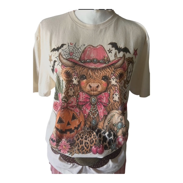 Fall pumpkins with Highland Cow Shirt