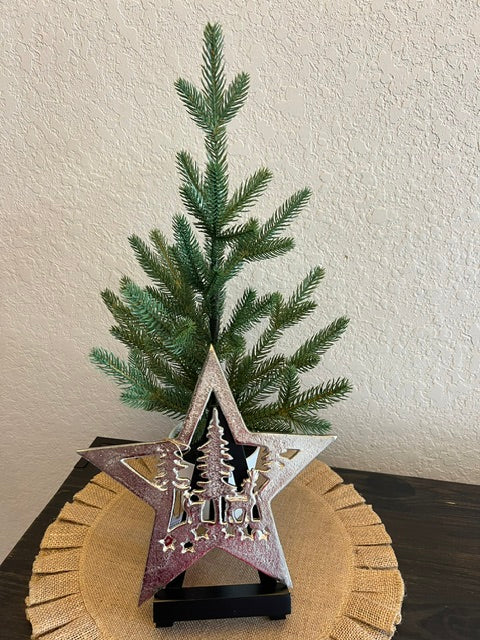 Star Trivet